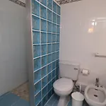 Camelia 52 - São Rafael,