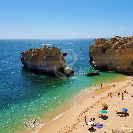 Camelia 52 - Sao Rafael, * Albufeira