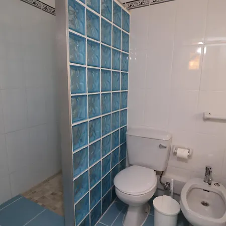 Camelia 52 - Sao Rafael,